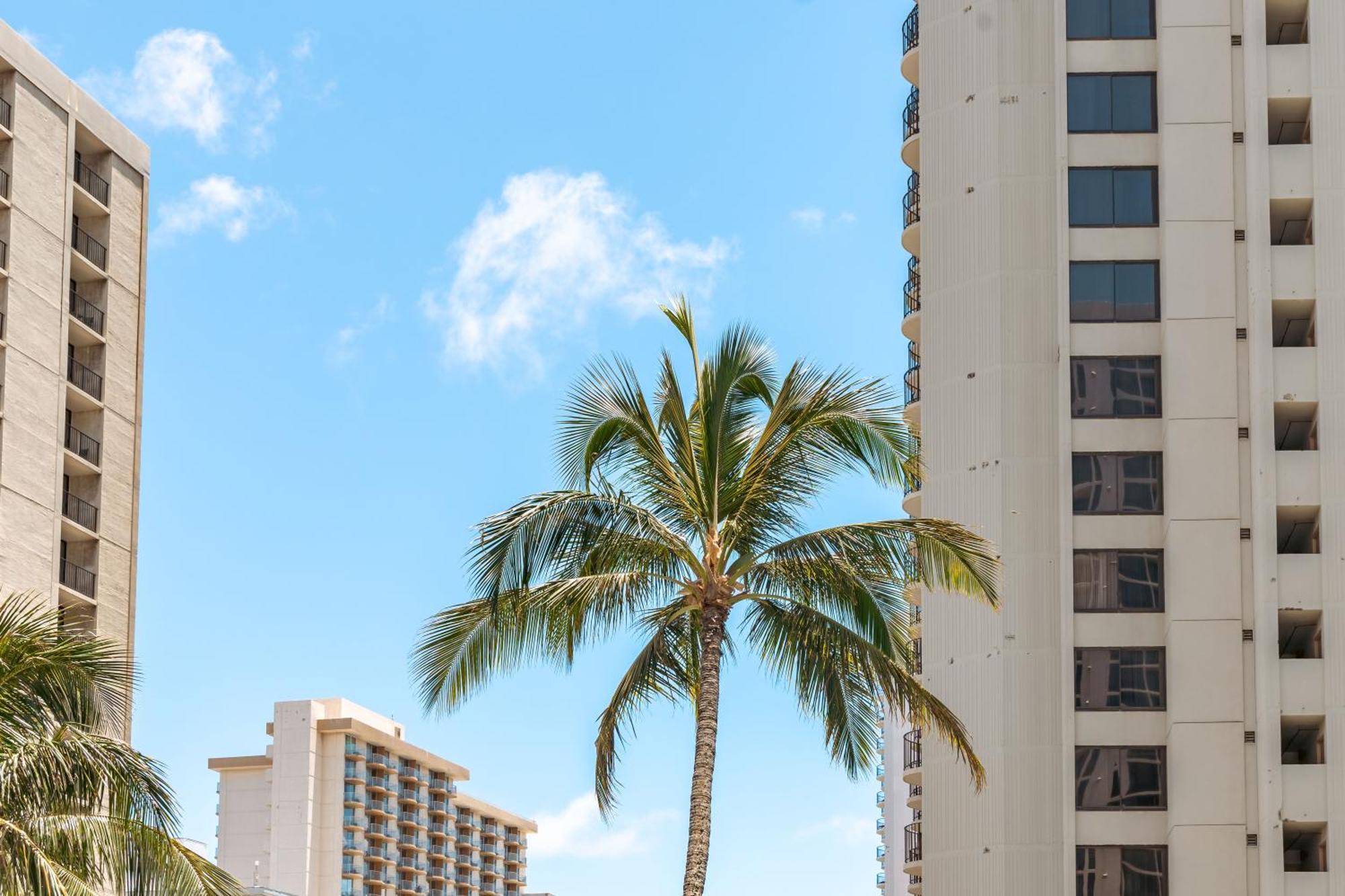 Waikiki Banyan 1Br With Great Ocean Views, Steps To Beach & Parking! Χονολουλού Εξωτερικό φωτογραφία